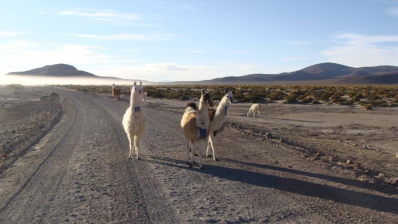 Coipasa Salt Flats S's (9).JPG